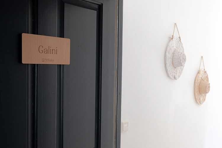 Galini